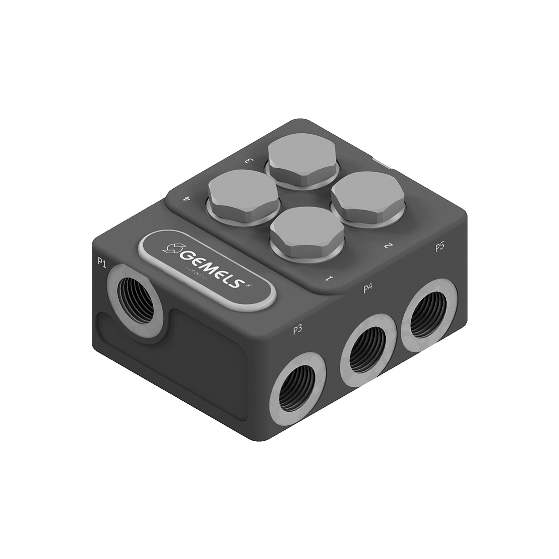 Gemels manifold valve